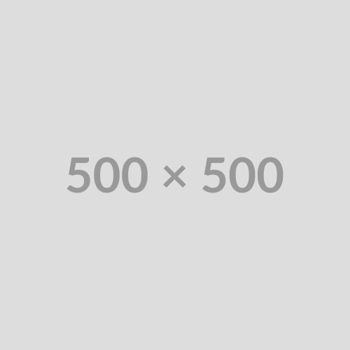 500x500